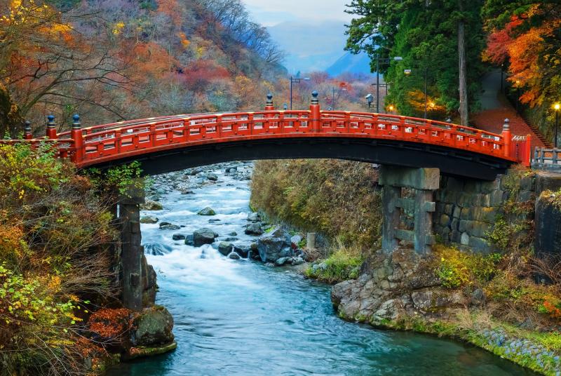 Building Bridges