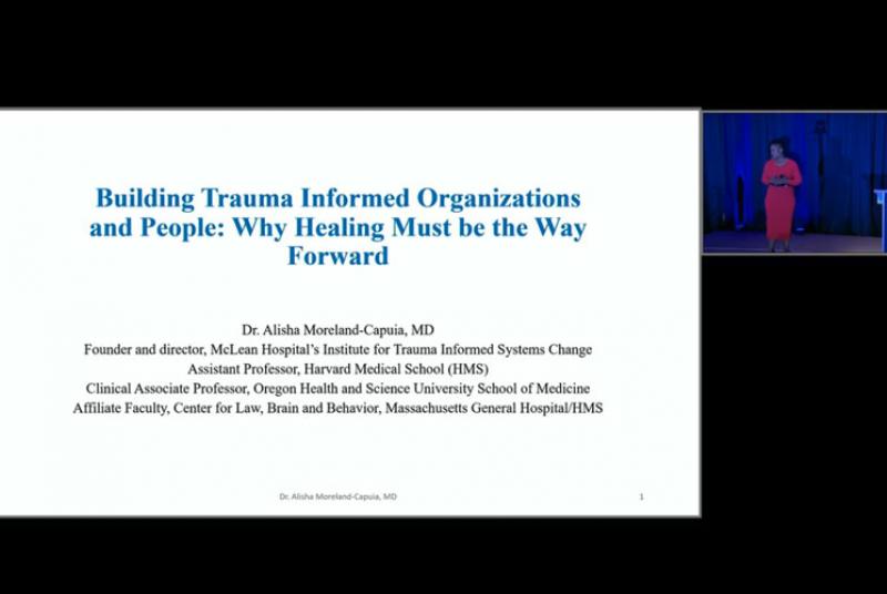 Conference 2024 . Harvard medical school, mclean and institute of coaching