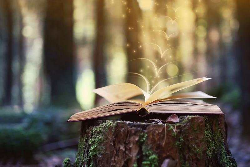 Coaching Report January 2024 a year of wisdom